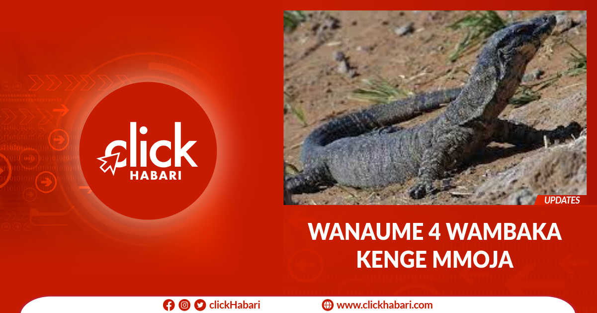 Wanaume 4 wambaka Kenge mmoja