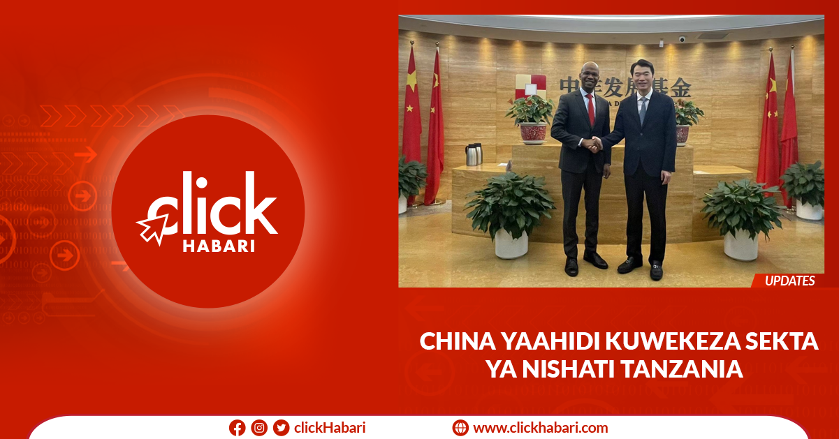China yaahidi kuwekeza sekta ya nishati Tanzania