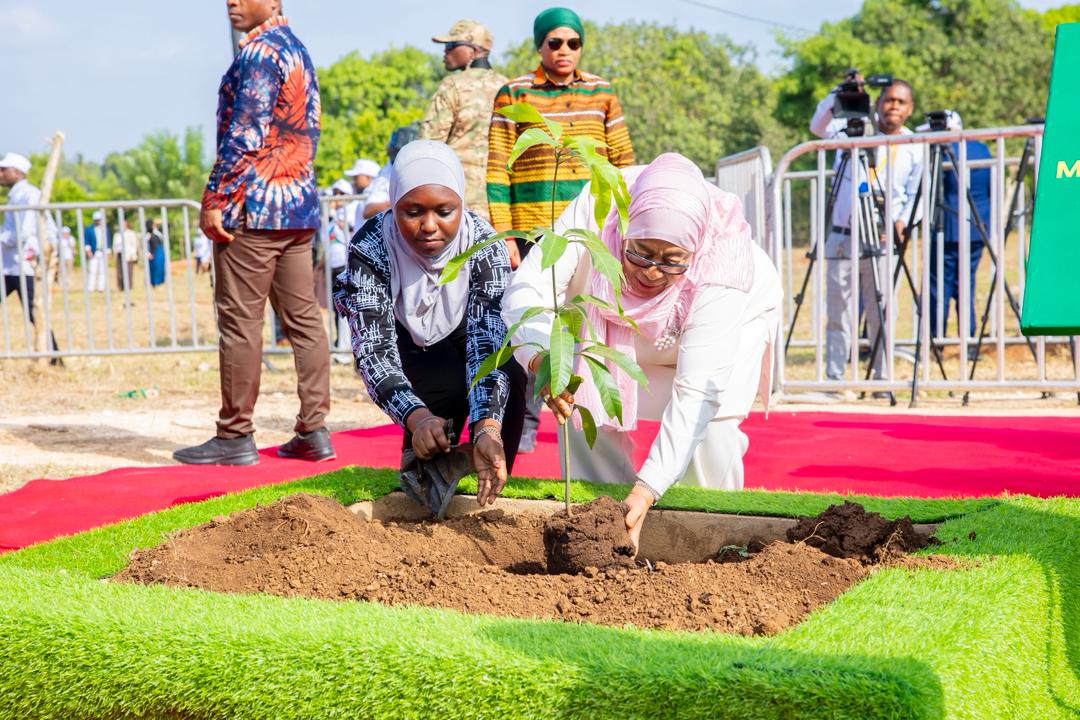 Upandaji wa miti ni nguzo ya kukabiliana na mabadiliko ya tabia nchi Upandaji wa miti ni nguzo ya kukabiliana na mabadiliko ya tabia nchi