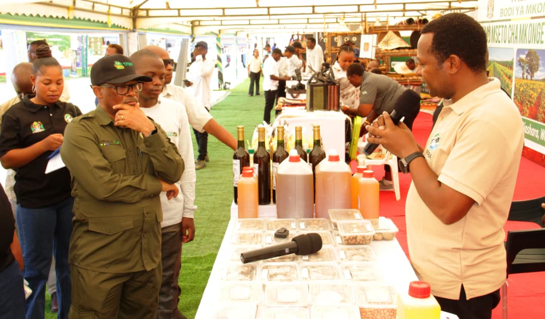 Miche ya tende kuzalishwa nchini kupanua kilimo cha zao hilo